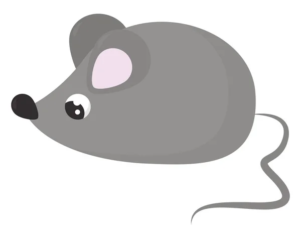 Grey Mouse Illustration Vector White Background — Stock Vector