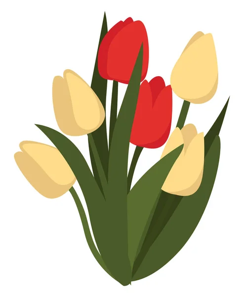 Poppy Bloemen Illustratie Vector Witte Achtergrond — Stockvector