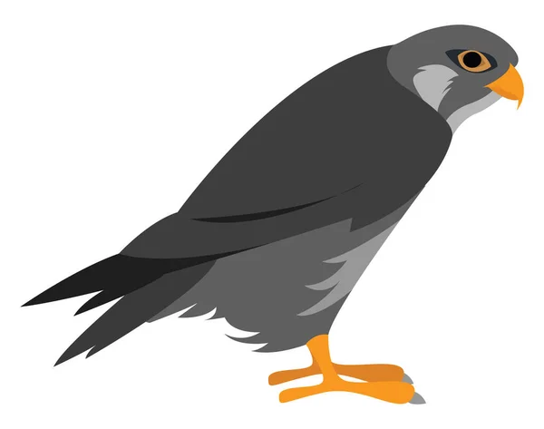捕食性鸟类 白色背景上的病媒 — 图库矢量图片