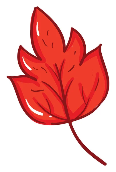 赤い葉 イラスト 白い背景のベクトル — ストックベクタ
