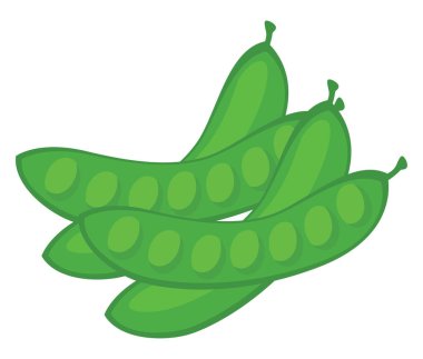 Yeşil bezelye, illüstrasyon, beyaz arkaplanda vektör