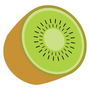 Kivi ikiye bölünmüş, illüstrasyon, beyaz arkaplan vektörü