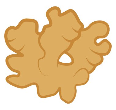 Ginger, illüstrasyon, beyaz arkaplanda vektör