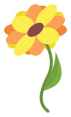 Sarı çiçek, illüstrasyon, beyaz arkaplanda vektör