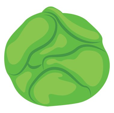 Yeşil lahana, illüstrasyon, beyaz arkaplanda vektör