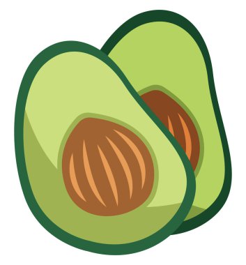 Avokado ikiye bölündü, illüstrasyon, beyaz arkaplan üzerindeki vektör