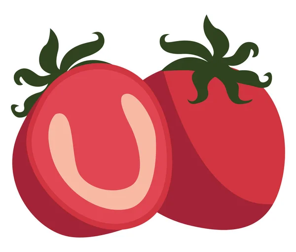 Tomaten Illustratie Vector Witte Achtergrond — Stockvector