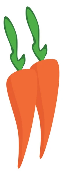 Dos Zanahorias Ilustración Vector Sobre Fondo Blanco — Vector de stock