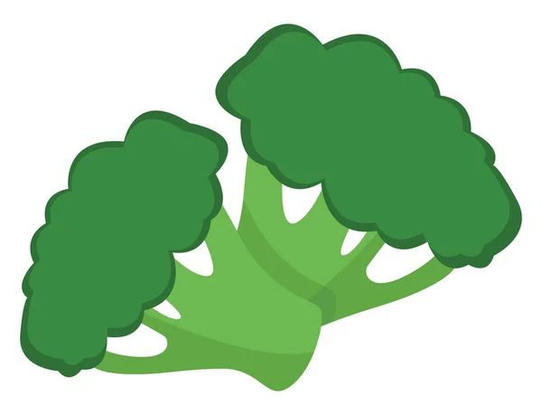 Broccoli Freschi Illustrazione Vettore Sfondo Bianco — Vettoriale Stock