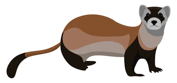 Weasel Animal Illustration Vector White Background — Stock Vector