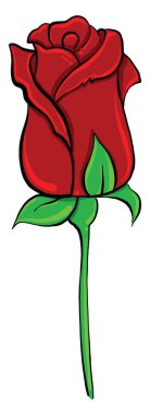 Kırmızı gül, illüstrasyon, beyaz arkaplanda vektör