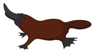 Gagalı, illüstrasyon, beyaz arkaplan üzerindeki vektör