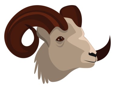 Ovis başı, illüstrasyon, beyaz arkaplan üzerindeki vektör