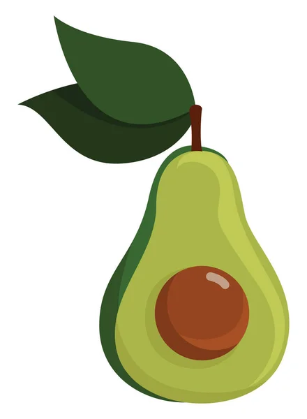 Aguacate Por Mitad Ilustración Vector Sobre Fondo Blanco — Vector de stock