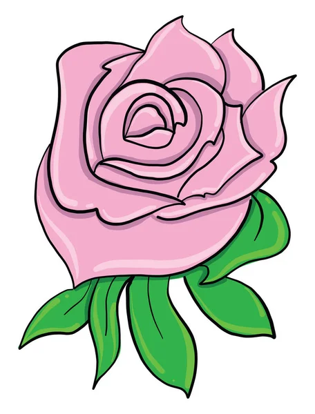 Rosa Rosa Ilustración Vector Sobre Fondo Blanco — Vector de stock