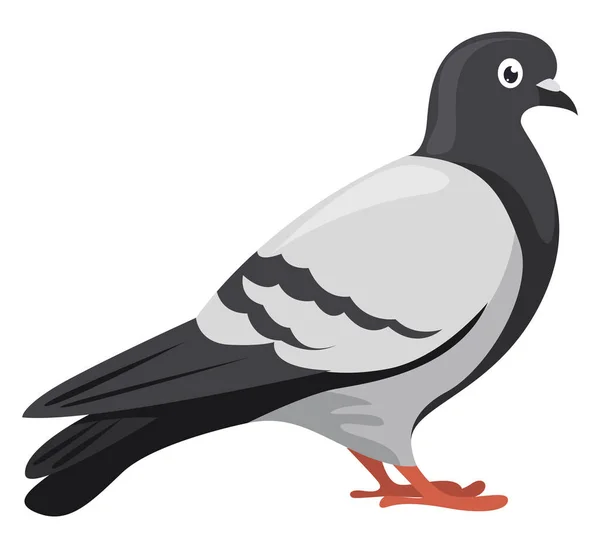 Pigeon Illustration Vector White Background — Stock Vector