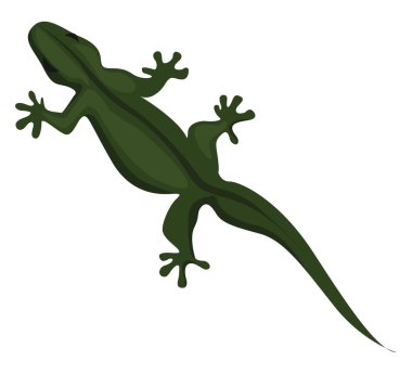 Yeşil kertenkele, illüstrasyon, beyaz arkaplan üzerindeki vektör