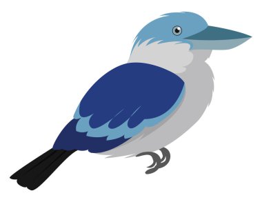 Kookaburra kuşu, illüstrasyon, beyaz arkaplanda vektör