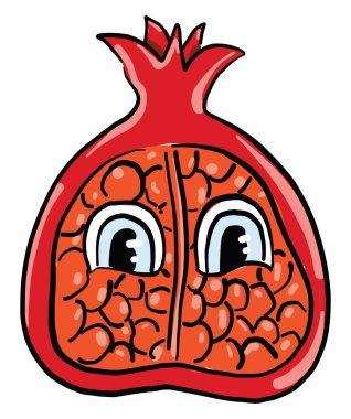 Büyük meyve, illüstrasyon, beyaz arkaplanda vektör