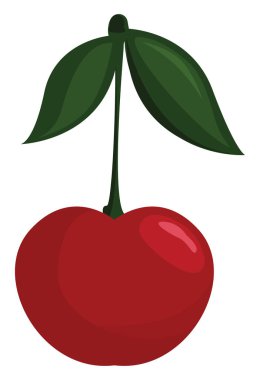 Taze kiraz, illüstrasyon, beyaz arka plan vektör