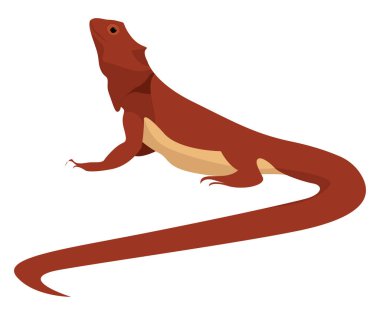 Doğu sakallı ejderha, illüstrasyon, beyaz arka planda vektör.