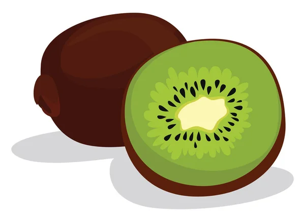 Kiwi Cortado Por Mitad Ilustración Vector Sobre Fondo Blanco — Archivo Imágenes Vectoriales