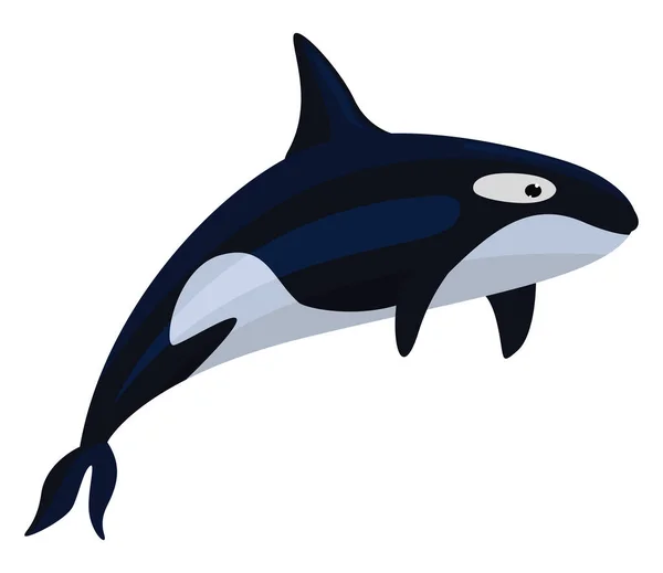 Zabójczy Wieloryb Ilustracja Wektor Białym Tle — Wektor stockowy