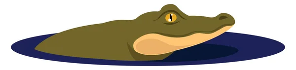 Crocodile Dans Eau Illustration Vecteur Sur Fond Blanc — Image vectorielle