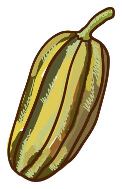 Leziz kabak, illüstrasyon, beyaz arkaplan vektörü