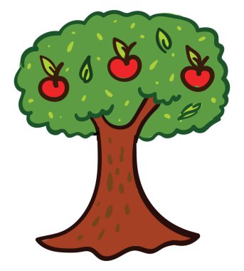 Elma ağacı, illüstrasyon, beyaz arkaplan üzerindeki vektör