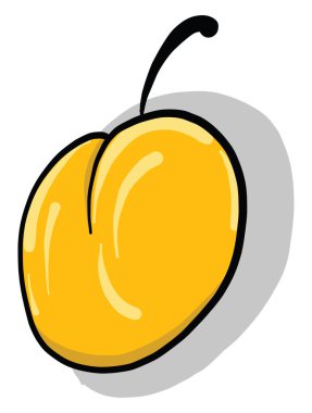 Tatlı kayısı, illüstrasyon, beyaz arkaplanda vektör