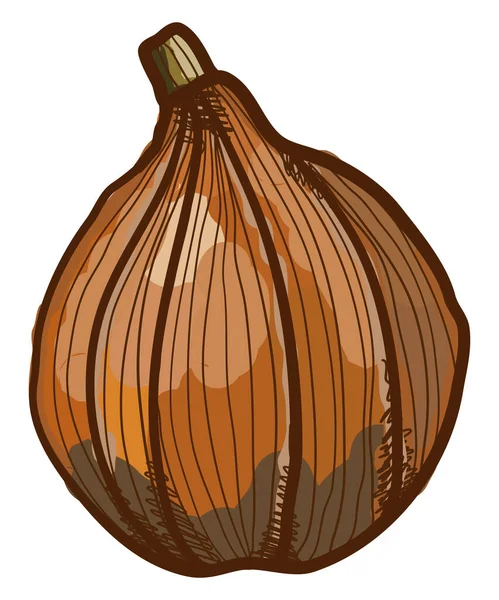 Calabaza Calabaza Kuri Rojo Ilustración Vector Sobre Fondo Blanco — Archivo Imágenes Vectoriales