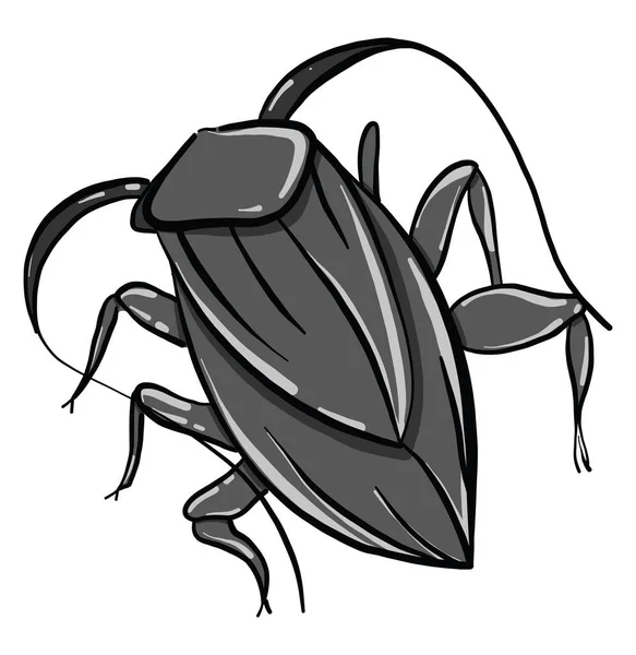 Cucaracha Negra Ilustración Vector Sobre Fondo Blanco — Vector de stock