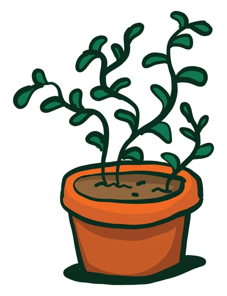 Jade Planta Vaso Ilustração Vetor Sobre Fundo Branco —  Vetores de Stock