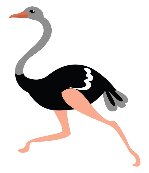 Ostrich Run Illustration Vector White Background — 스톡 벡터