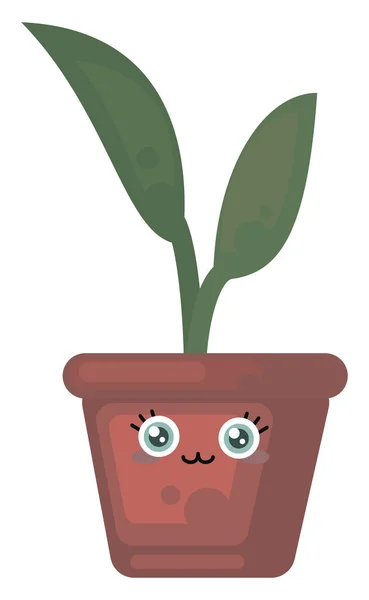 Planta Maceta Linda Ilustración Vector Sobre Fondo Blanco — Vector de stock