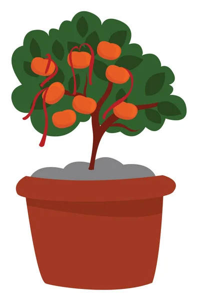 Tangerine Tree Illustration Vector White Background — Stock Vector