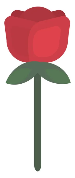 Rosa Rossa Fiore Illustrazione Vettore Sfondo Bianco — Vettoriale Stock