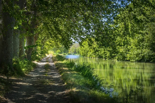 Vue Chemin Hallage Sur Bord Canal Midi — Stock Photo, Image