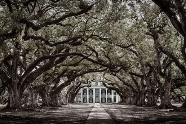 Oak Alley Plantage Historische Site New Orleans Usa Zwart Wit — Stockfoto