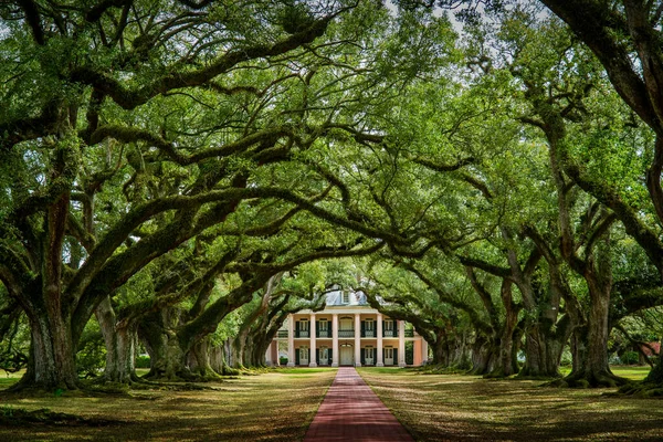 Oak Alley Plantación Sitio Histórico Nueva Orleans Luisiana —  Fotos de Stock