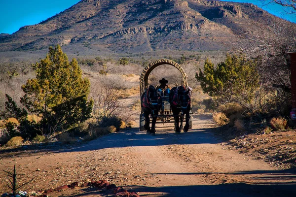 Вид Запад Америки Седлом Повозкой — стоковое фото