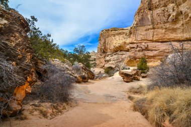 Utah 'taki Capitol Resifi Ulusal Parkı' nda yürüyüş