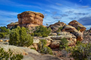 Canyonlands Park Moab, Utah ABD 'deki kaya oluşum manzarası