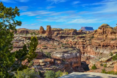 Canyonlands Park Moab, Utah ABD 'deki kaya oluşum manzarası