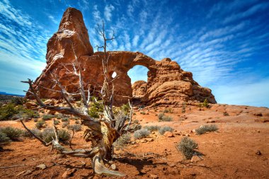 Utah ABD Arches Ulusal Parkı 'ndaki kemerli taşların erozyon fenomeni
