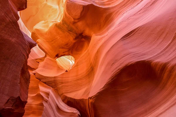 Antiloppe Kanyonu 'nun içi, sayfa, Arizona ABD