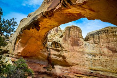 Utah, ABD 'deki Capitol Resif Ulusal Parkı' nda bir patika yürüyüşünün altındaki taş kemer.