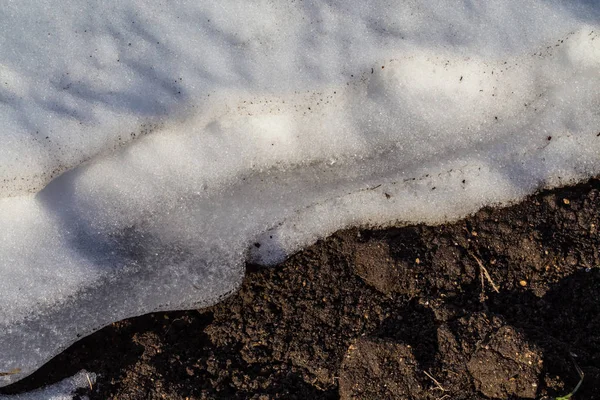 Thawed land. Spring melt snow. Early spring. Garden soil under the melted snow.