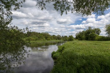 Nehir Protva. Orta Rusya'ya tipik peyzaj. Sessiz sakin nehir. Oka bir kolu. Moskova Bölgesi. 